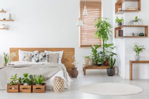 5 tipos de planta para jardim para se ter em apartamentos