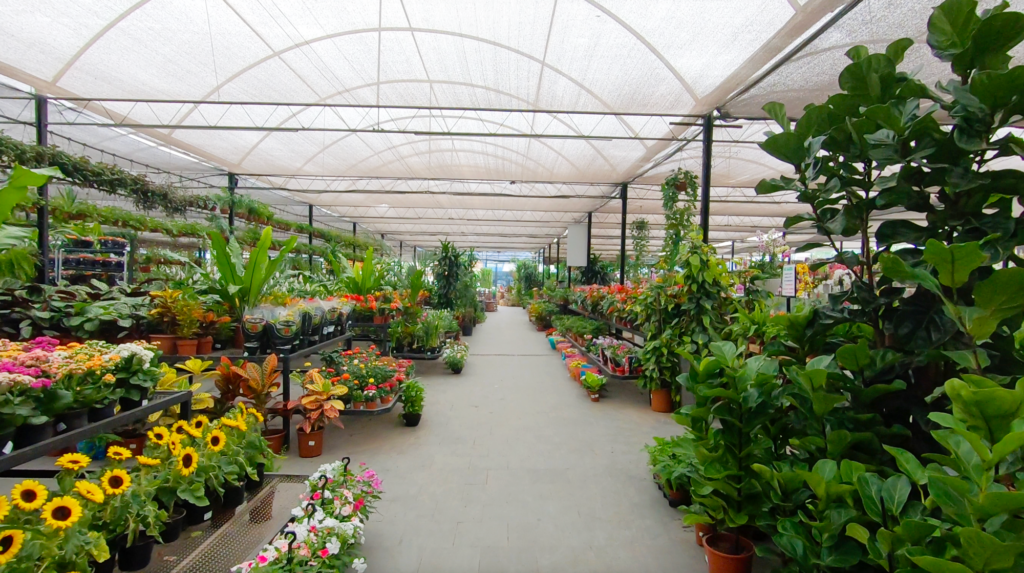 ABC Garden